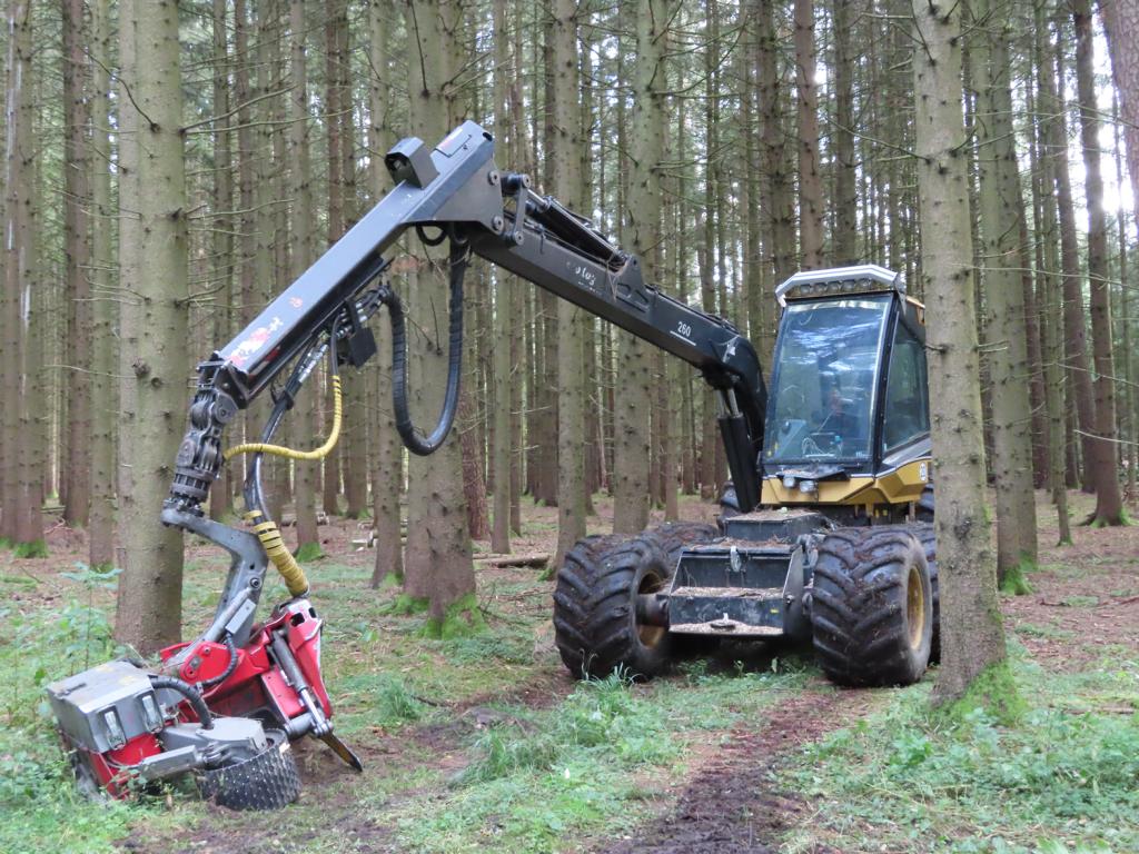 Holzrückarbeiten